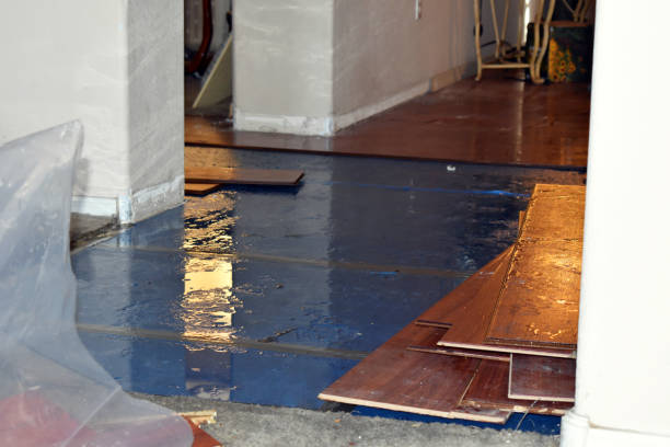 Professional Sewage Cleanup technician working in Moss Point, MS